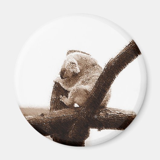 Koala Beer Magneet (Voorkant)