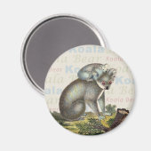 Koala Beer Magnet Magneet (Voorkant / Achterkant)