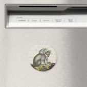 Koala Beer Magnet Magneet (Insitu (Vaatwasser))