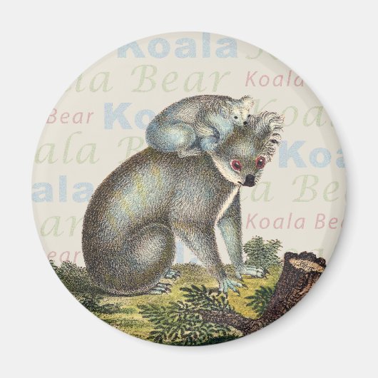 Koala Beer Magnet Magneet (Voorkant)