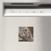 Koala Beer Magnet Magneet (Insitu (Vaatwasser))