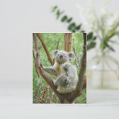 Koala-Beer op de boom in de dierentuin Perth Briefkaart (Staand voorkant)