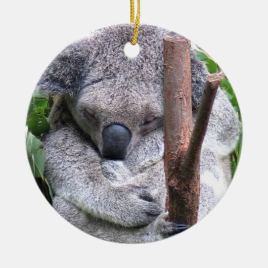 Koala Beer Ornament (Voorkant)