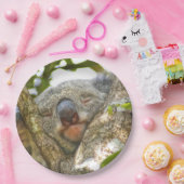 Koala Beer Paper Bord (Feest)