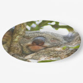 Koala Beer Paper Bord (Gekanteld)