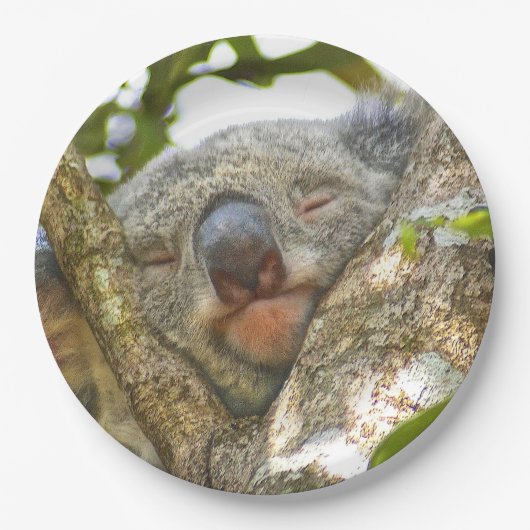 Koala Beer Paper Bord (Voorkant)