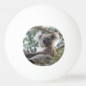 Koala Beer Pingpongballen (Achterkant)