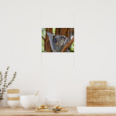 Koala Beer Poster (Keuken)