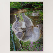 koala beer puzzel (Verticaal)