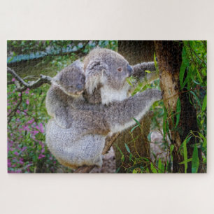 koala beer puzzel legpuzzel
