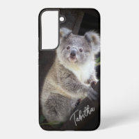 Koala Beer