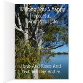 Koala Beer Slapend In Eucalyptusboom, Verjaardag (Binnen (Rechts))