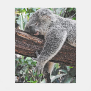KOALA BEER SLAPING OP BOOM FLEECE DEKEN