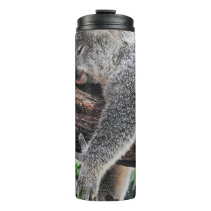 KOALA BEER SLAPING OP BOOM THERMOSBEKER