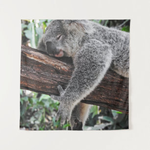 KOALA BEER SLAPING OP BOOM WANDKLEED