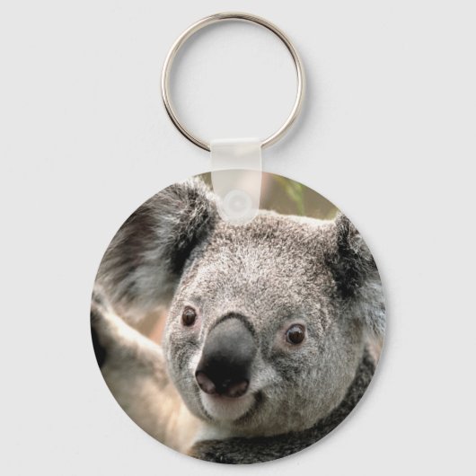 Koala Beer Sleutelhangers (Voorkant)