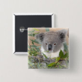 Koala Beer Square Pin Vierkante Button 5,1 Cm (Voorkant /achterkant)