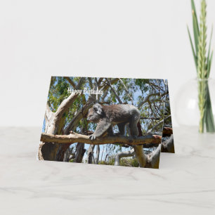 Koala Beer Tight Rope Walker Kaart
