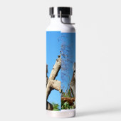 Koala Beer tijd om na te denken over het leven, Waterfles (Links)