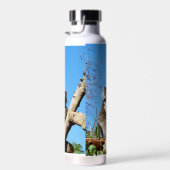 Koala Beer tijd om na te denken over het leven, Waterfles (Rechts)