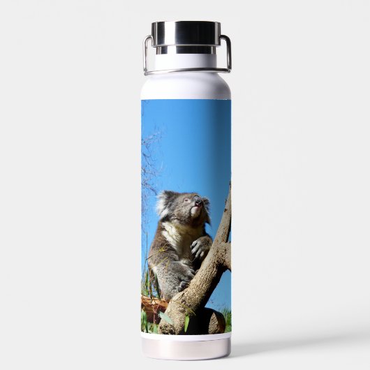 Koala Beer tijd om na te denken over het leven, Waterfles (Achterkant)