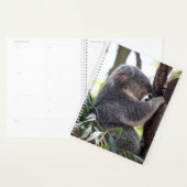 Koala Beer Weekly/Maandelijkse Planner (Display)