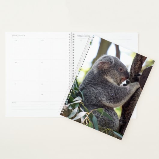 Koala Beer Weekly/Maandelijkse Planner (Display)