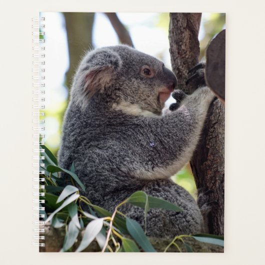 Koala Beer Weekly/Maandelijkse Planner (Voorkant)