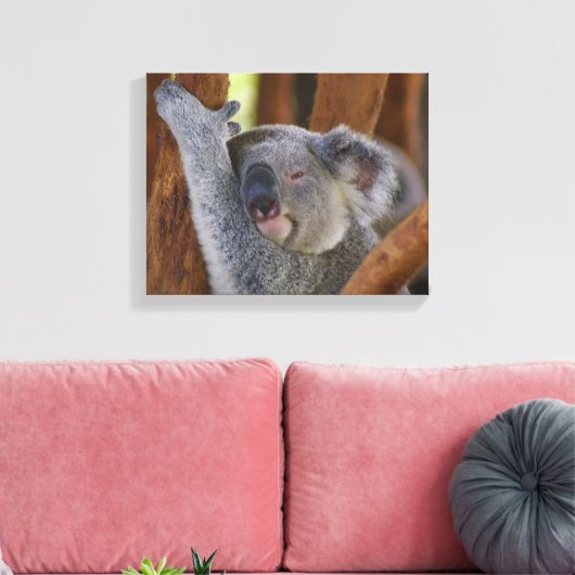 Koala Beer Wrapped Canvas Afdruk (Insitu (Woonkamer))