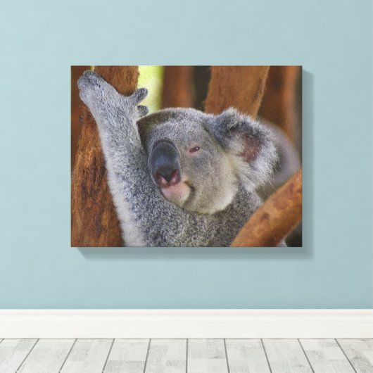 Koala Beer Wrapped Canvas Afdruk (Insitu (Houten vloer))