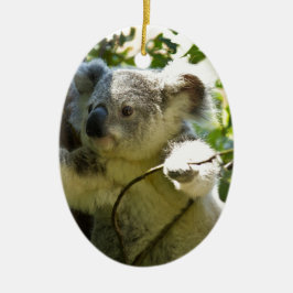 Koala Beren Aussi Outback Destiny Natuur Keramisch Ornament