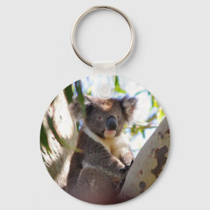 Koala Beren Aussi Outback Destiny Natuur Sleutelhanger
