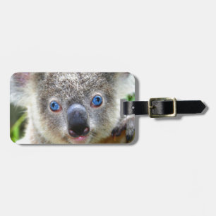 Koala Beren Bagagelabel