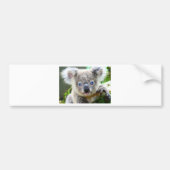 Koala Beren Bumpersticker (Voorkant)
