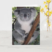 Koala beren kaart (Gele Bloem)