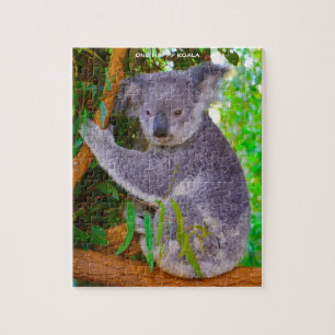 Koala Beren Legpuzzel
