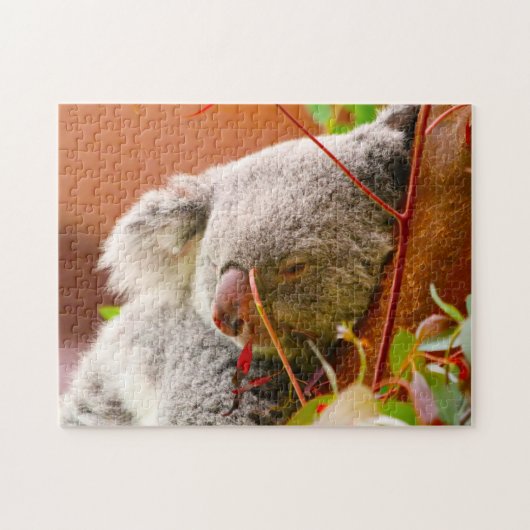 Koala-Beren. Legpuzzel (Horizontaal)