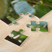 Koala-Beren. Legpuzzel (Zijkant)