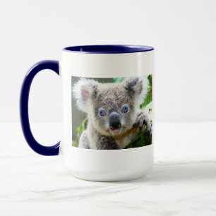 Koala Beren Mok