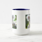 Koala Beren Mok (Midden)