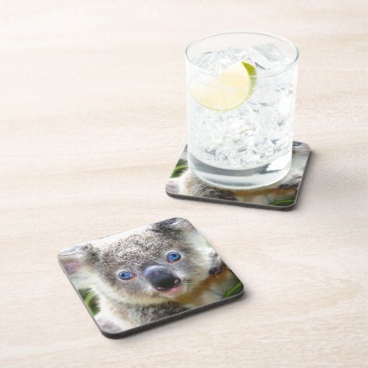 Koala Beren Onderzetter (Rechterzijde)