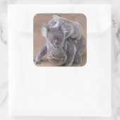 Koala Beren Vierkante Sticker (Tas)