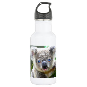 Koala-Beren Waterfles