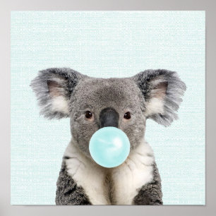 Koala Blowa Blue Buble gum Poster