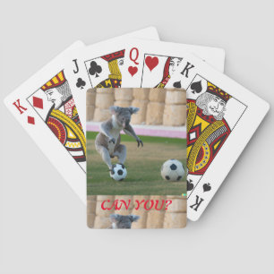 Koala bovenop een voetbal pokerkaarten