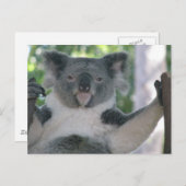 Koala Briefkaart (Voorkant / Achterkant)