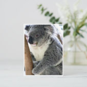 koala briefkaart (Staand voorkant)