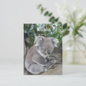 Koala Briefkaart (Staand voorkant)