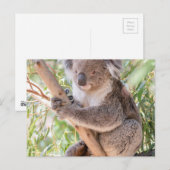 Koala Briefkaart (Voorkant / Achterkant)