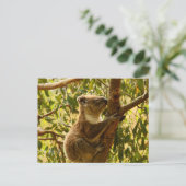Koala Briefkaart (Staand voorkant)